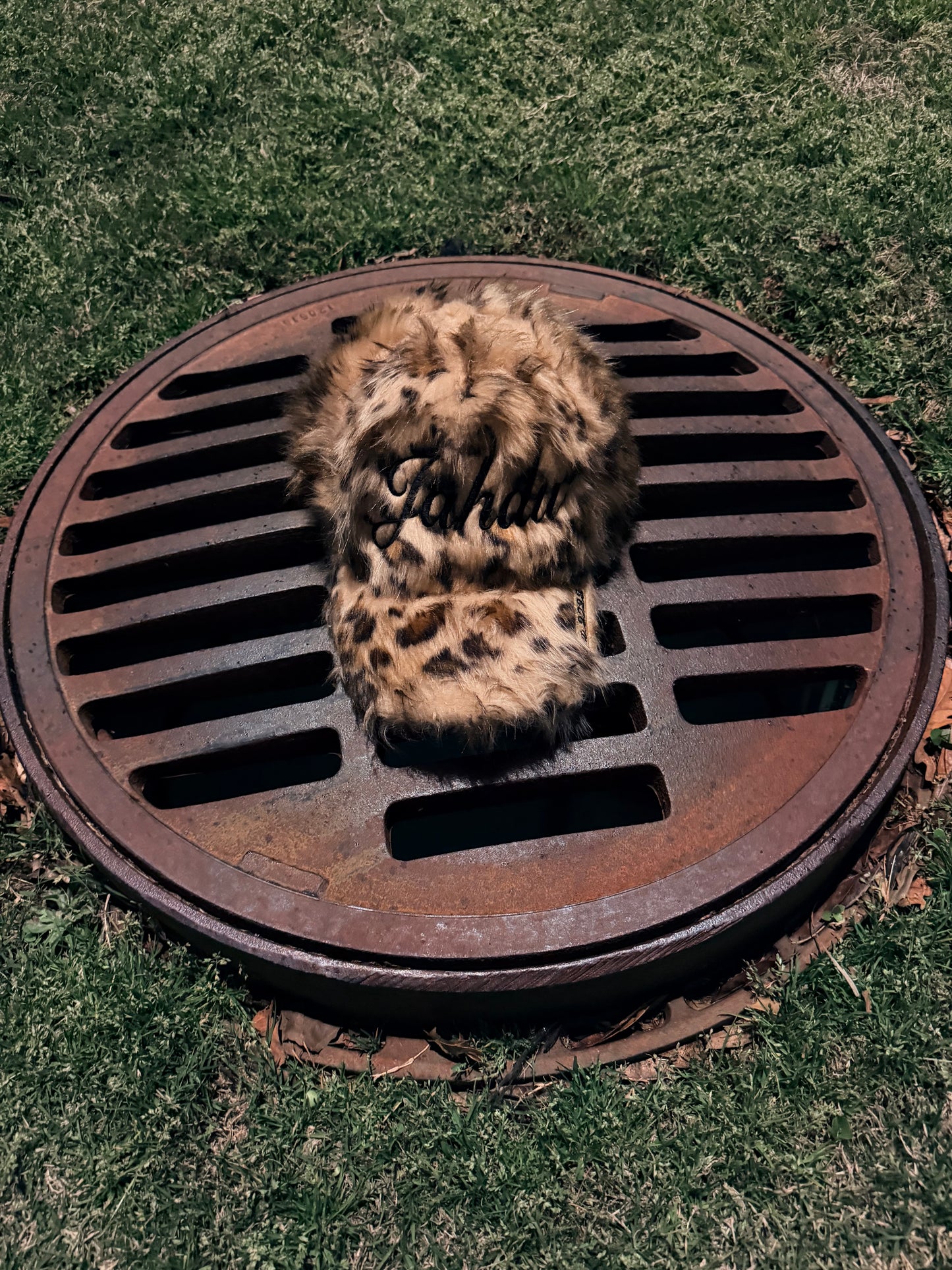 OUD LEOPARD